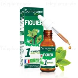 SANTAROME BOURG Figuier S buv Fl/30ml