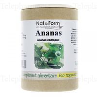 NAT&FORM ECO RESP Ananas G&eacute;l B/60