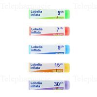 LOBELIA INFLATA