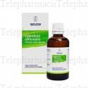 CALENDULA OFFICINALIS TEINTURE MERE WELEDA, solution pour application cutan&eacute;e