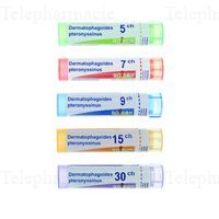 DERMATOPH. PTER. 15CH TG BOI